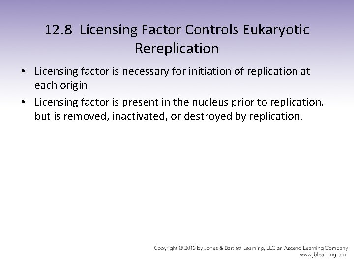 12. 8 Licensing Factor Controls Eukaryotic Rereplication • Licensing factor is necessary for initiation