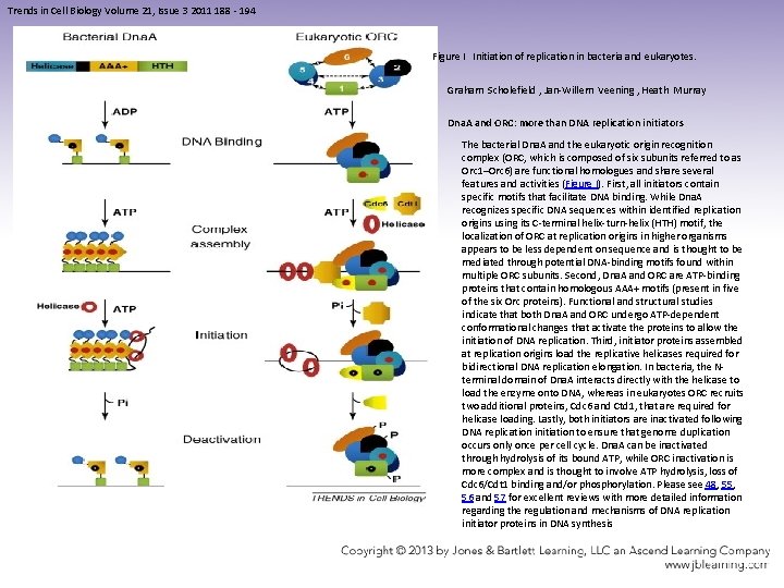 Trends in Cell Biology Volume 21, Issue 3 2011 188 - 194 Figure I