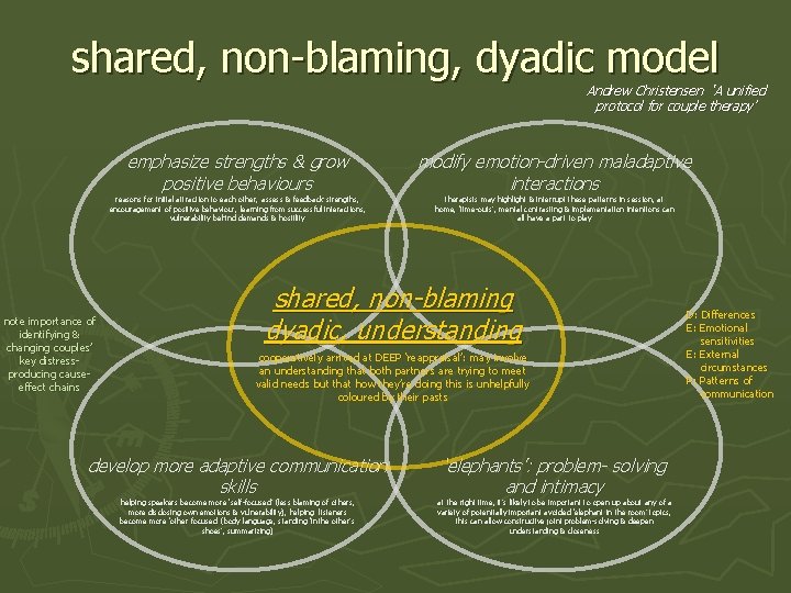 shared, non-blaming, dyadic model Andrew Christensen ‘ A unified protocol for couple therapy’ note