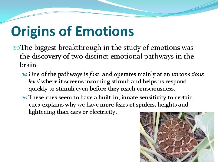Origins of Emotions The biggest breakthrough in the study of emotions was the discovery
