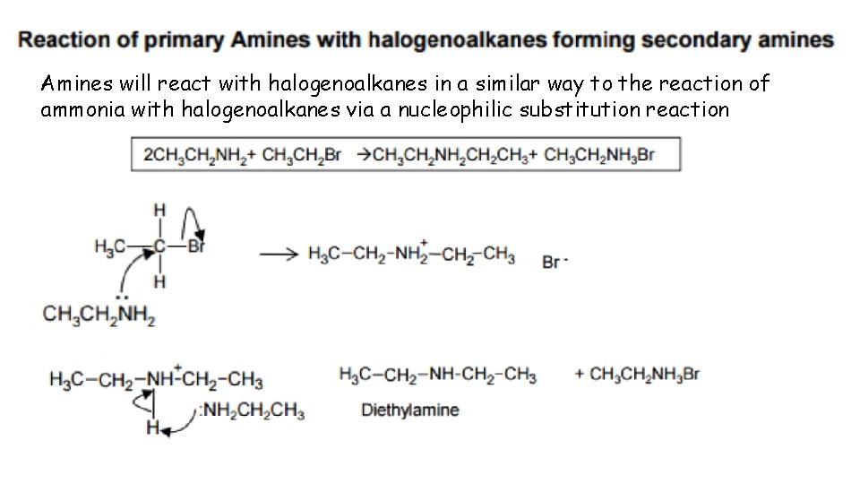 Amines will react with halogenoalkanes in a similar way to the reaction of ammonia