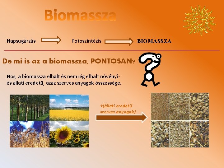 Napsugárzás Fotoszintézis De mi is az a biomassza, PONTOSAN? Nos, a biomassza elhalt és