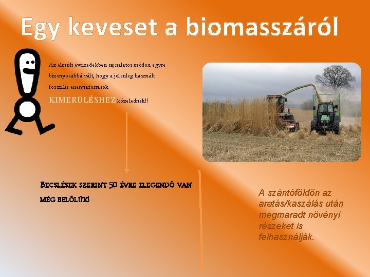 Egy keveset a biomasszáról Az elmúlt évtizedekben sajnálatos módon egyre bizonyosabbá vált, hogy a