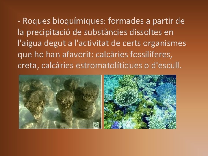- Roques bioquímiques: formades a partir de la precipitació de substàncies dissoltes en l'aigua - Roques bioquímiques: formades a partir de la precipitació de substàncies dissoltes en l'aigua