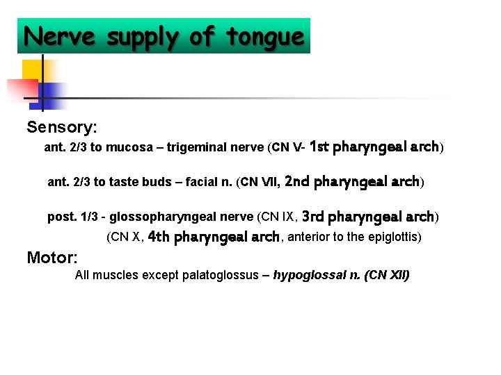 Nerve supply of tongue Sensory: ant. 2/3 to mucosa – trigeminal nerve (CN V-