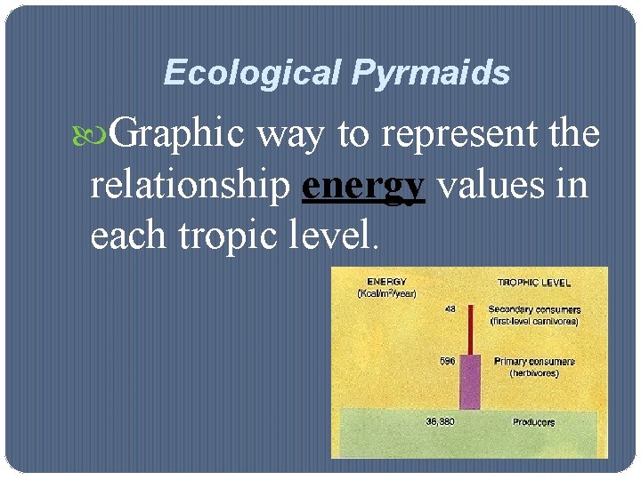 Ecological Pyrmaids Graphic way to represent the relationship energy values in each tropic level.