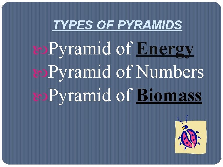 TYPES OF PYRAMIDS Pyramid of Energy Pyramid of Numbers Pyramid of Biomass 