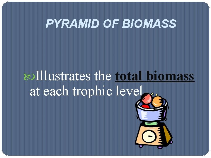PYRAMID OF BIOMASS Illustrates the total biomass at each trophic level. 