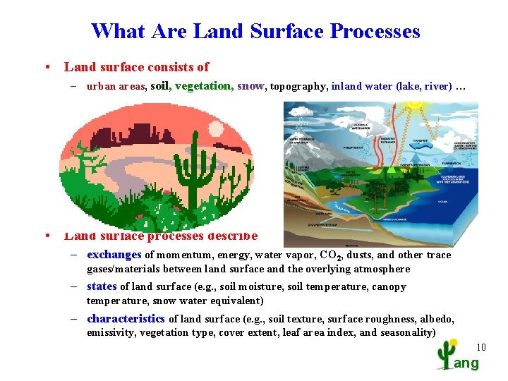 What Are Land Surface Processes • Land surface consists of – urban areas, soil,