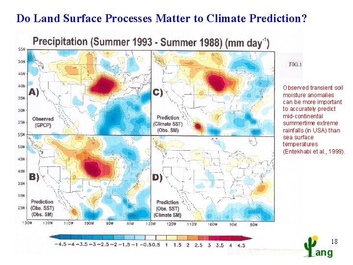 Do Land Surface Processes Matter to Climate Prediction? Observed transient soil moisture anomalies can