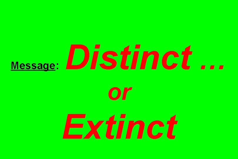 Message: Distinct … or Extinct 