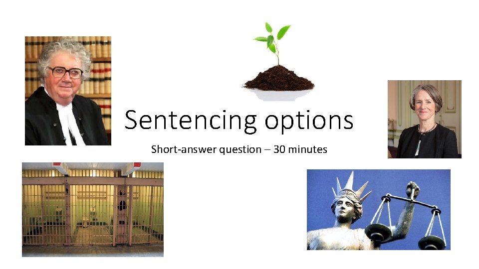Sentencing options Short-answer question – 30 minutes 