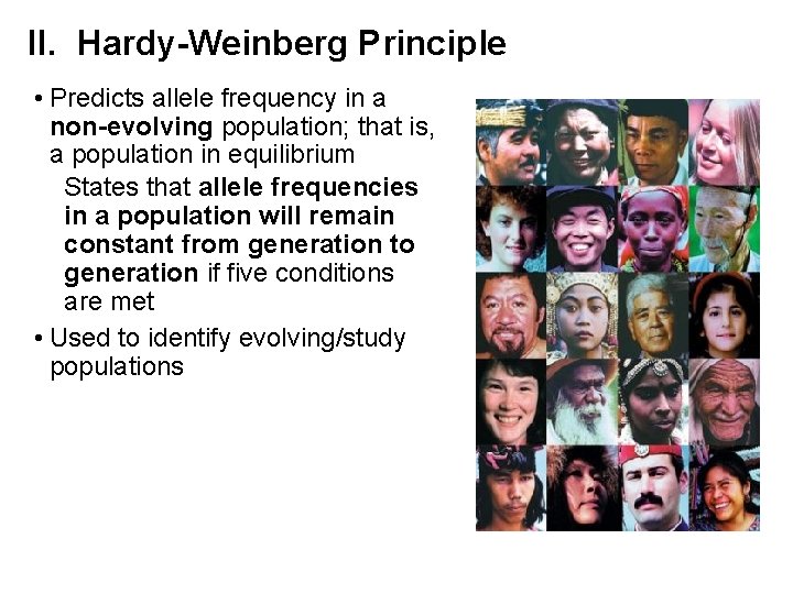 II. Hardy-Weinberg Principle • Predicts allele frequency in a non-evolving population; that is, a
