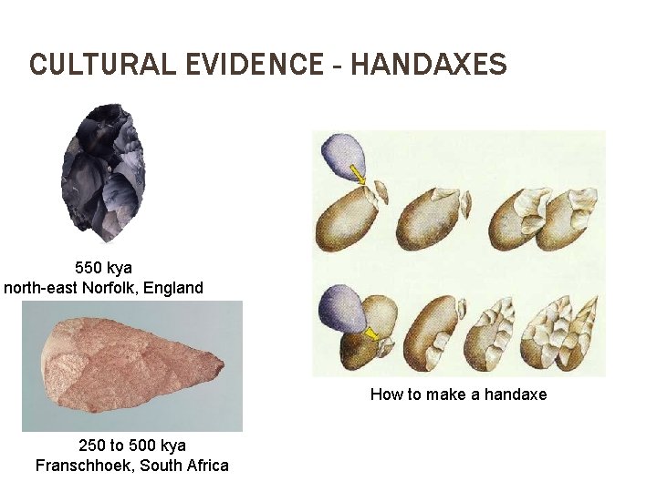 CULTURAL EVIDENCE - HANDAXES 550 kya north-east Norfolk, England How to make a handaxe