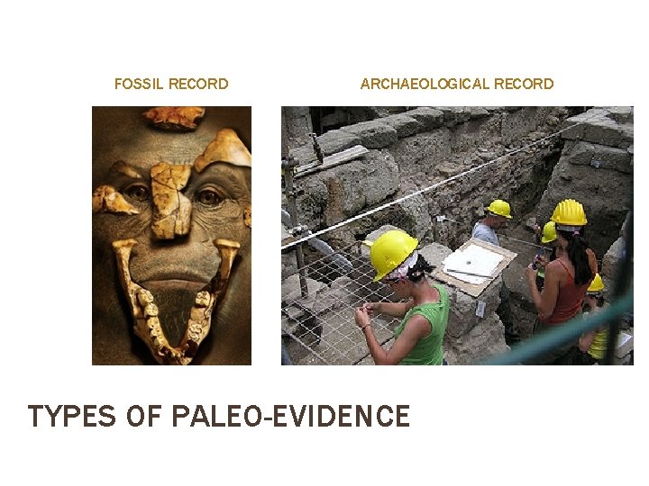 FOSSIL RECORD ARCHAEOLOGICAL RECORD TYPES OF PALEO-EVIDENCE 