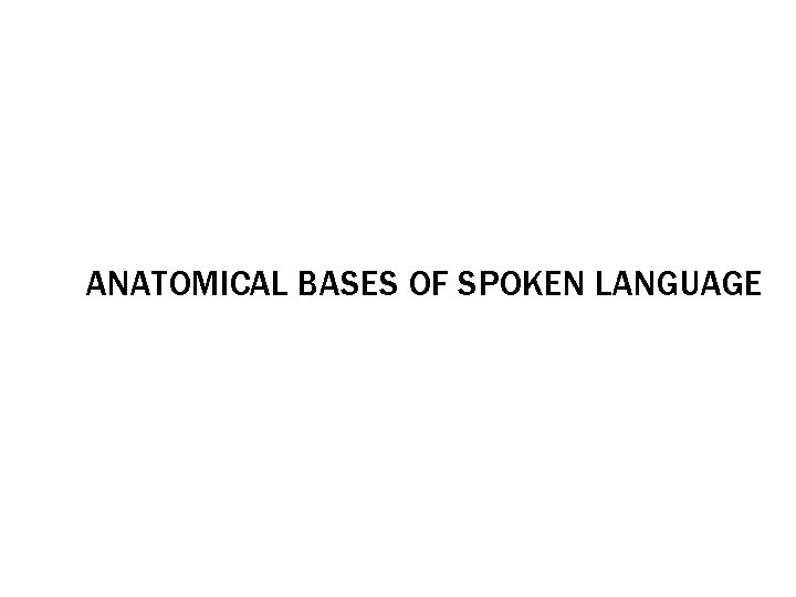ANATOMICAL BASES OF SPOKEN LANGUAGE 