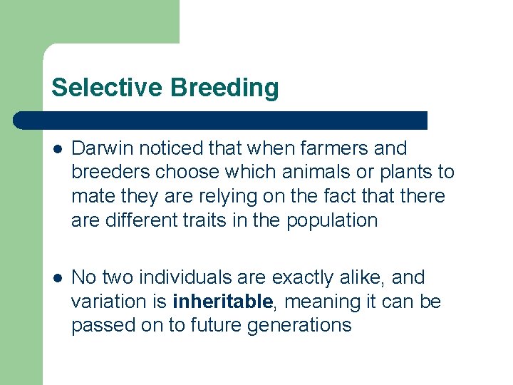 Selective Breeding l Darwin noticed that when farmers and breeders choose which animals or