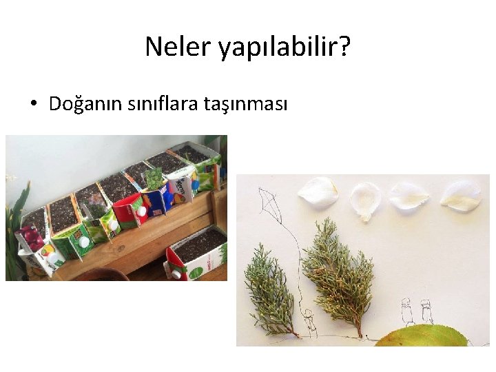 Neler yapılabilir? • Doğanın sınıflara taşınması 