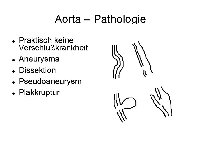 Aorta – Pathologie Praktisch keine Verschlußkrankheit Aneurysma Dissektion Pseudoaneurysm Plakkruptur 