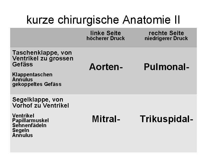 kurze chirurgische Anatomie II linke Seite Taschenklappe, von Ventrikel zu grossen Gefäss Klappentaschen Annulus