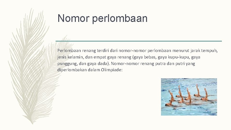 Nomor Renang Gaya Bebas Yang Diperlombakan Untuk Wanita Adalah Studi Indonesia