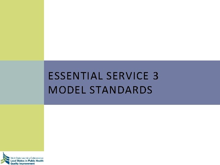 ESSENTIAL SERVICE 3 MODEL STANDARDS 