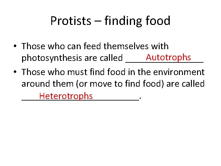 Protists – finding food • Those who can feed themselves with Autotrophs photosynthesis are