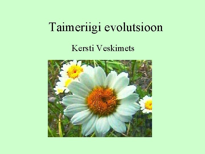 Taimeriigi evolutsioon Kersti Veskimets 