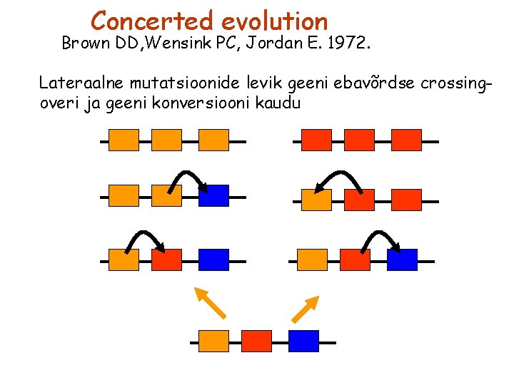 Concerted evolution Brown DD, Wensink PC, Jordan E. 1972. Lateraalne mutatsioonide levik geeni ebavõrdse