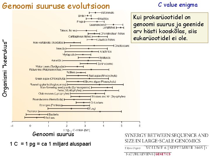 Genoomi suuruse evolutsioon C value enigma Organismi “keerukus” Kui prokarüootidel on genoomi suurus ja