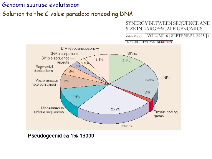 Genoomi suuruse evolutsioon Solution to the C value paradox: noncoding DNA Pseudogeenid ca 1%