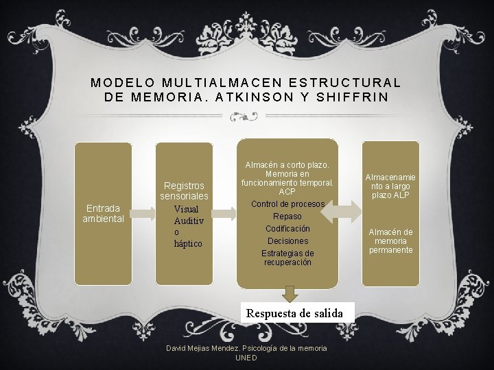 MODELO MULTIALMACEN ESTRUCTURAL DE MEMORIA. ATKINSON Y SHIFFRIN Entrada ambiental Registros sensoriales Visual Auditiv MODELO MULTIALMACEN ESTRUCTURAL DE MEMORIA. ATKINSON Y SHIFFRIN Entrada ambiental Registros sensoriales Visual Auditiv