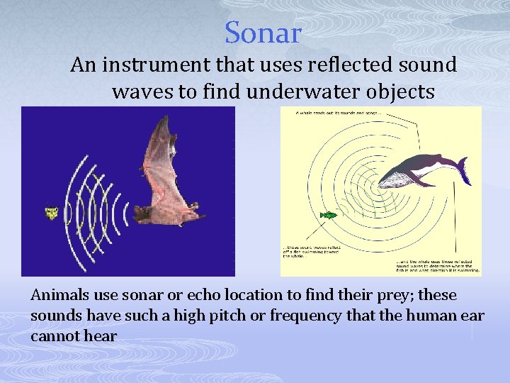 Sonar An instrument that uses reflected sound waves to find underwater objects Animals use Sonar An instrument that uses reflected sound waves to find underwater objects Animals use