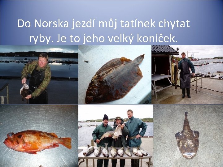 Do Norska jezdí můj tatínek chytat ryby. Je to jeho velký koníček. 
