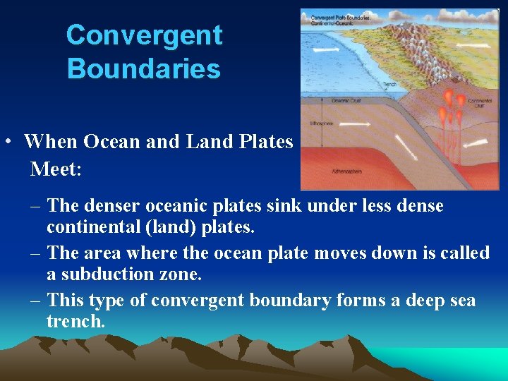 Convergent Boundaries • When Ocean and Land Plates Meet: – The denser oceanic plates