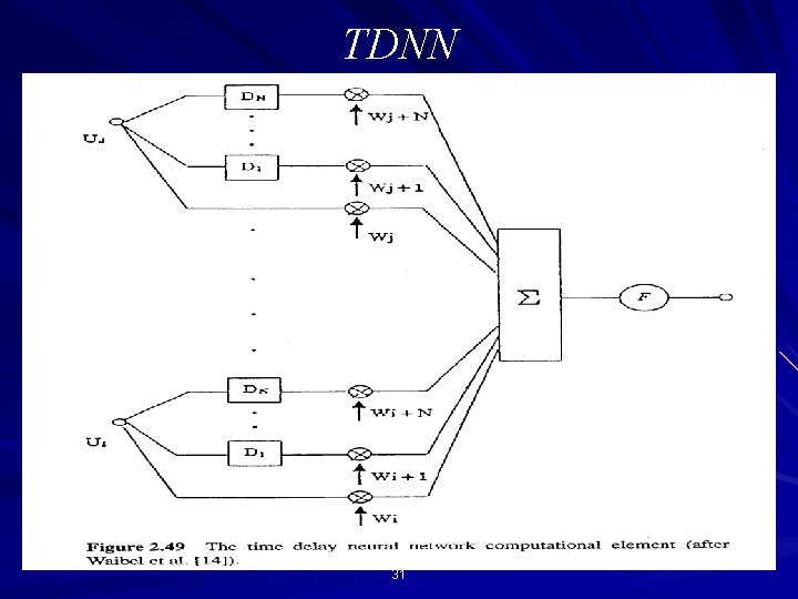 TDNN 31 