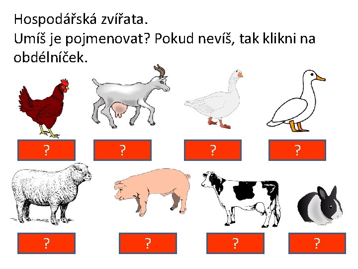 Hospodářská zvířata. Umíš je pojmenovat? Pokud nevíš, tak klikni na obdélníček. slepice ? ovce