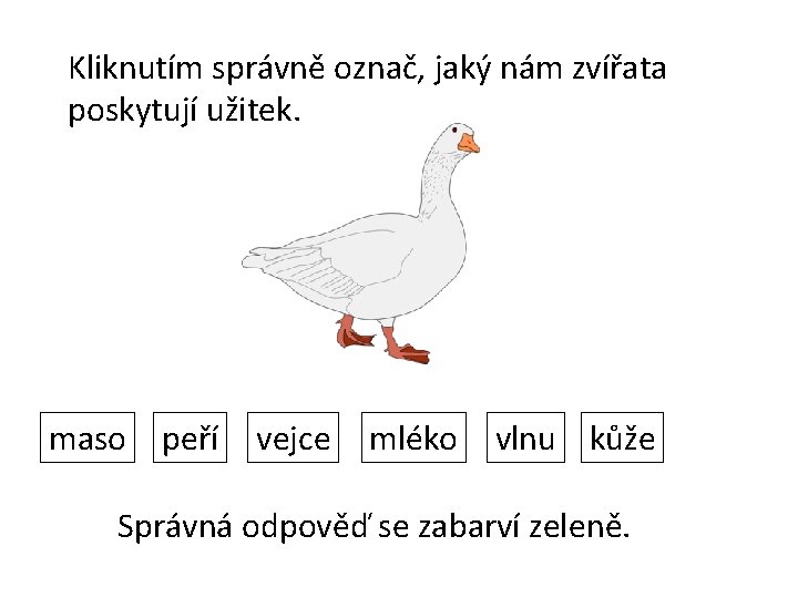 Kliknutím správně označ, jaký nám zvířata poskytují užitek. maso peří vejce mléko vlnu kůže