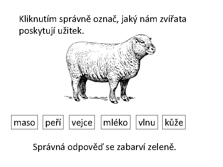 Kliknutím správně označ, jaký nám zvířata poskytují užitek. maso peří vejce mléko vlnu kůže