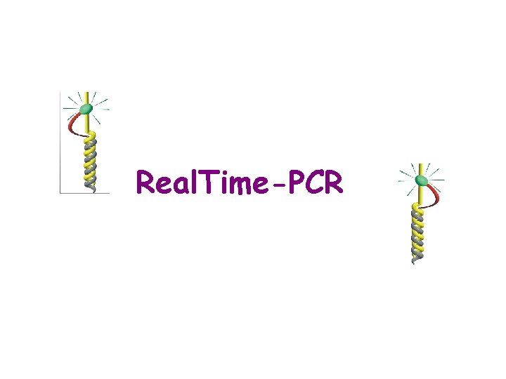 Real. Time-PCR 