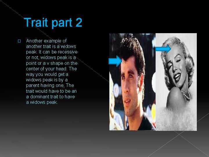 Trait part 2 � Another example of another trait is a widows peak. It
