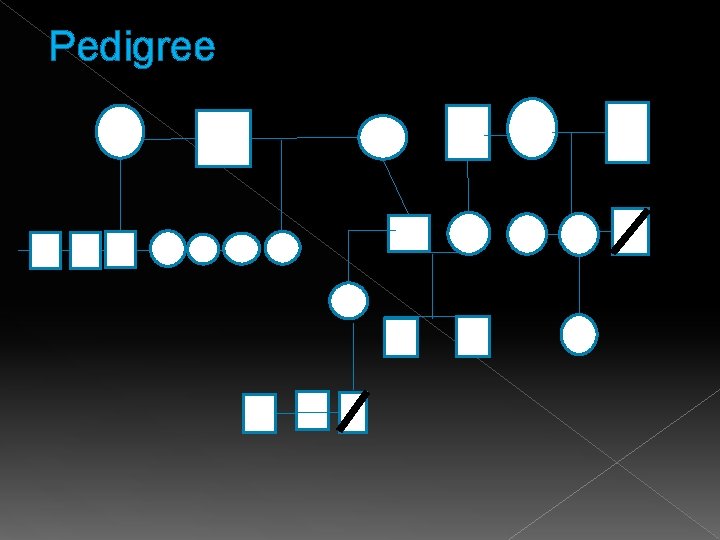 Pedigree 