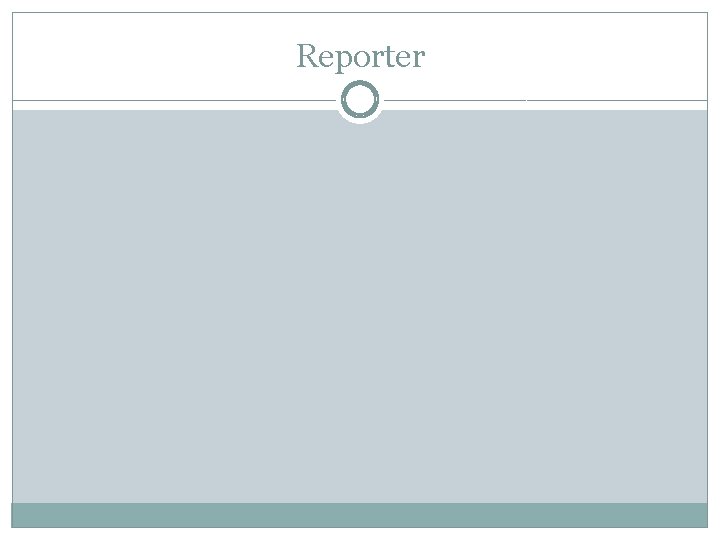 Reporter 