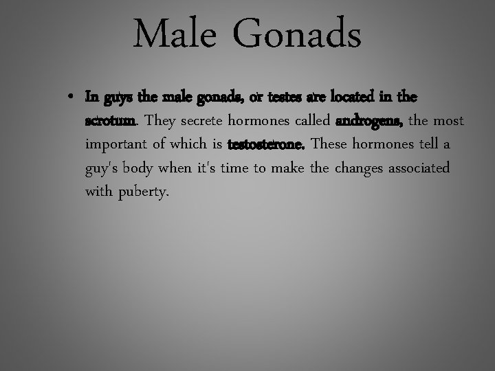 Male Gonads • In guys the male gonads, or testes are located in the