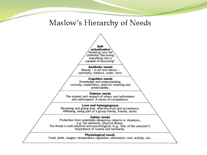 Maslow’s Hierarchy of Needs 