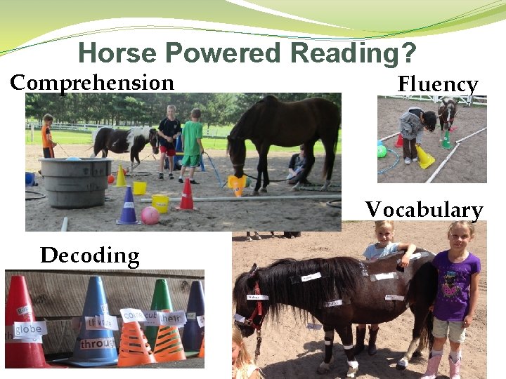 Horse Powered Reading? Comprehension Fluency Vocabulary Decoding 