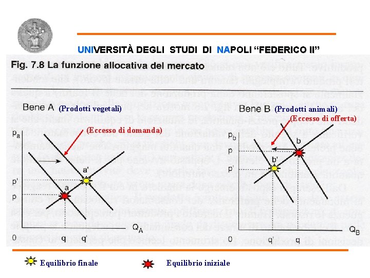 Funzione allocativa UNIVERSITÀ DEGLI STUDI DI NAPOLI “FEDERICO II” (Prodotti vegetali) (Prodotti animali) (Eccesso