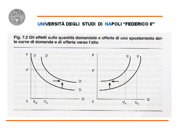 Spostamento delle Curve UNIVERSITÀ DEGLI STUDI DI NAPOLI “FEDERICO II” 