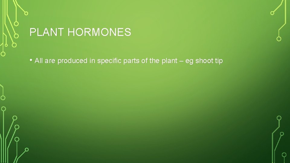 PLANT HORMONES • All are produced in specific parts of the plant – eg