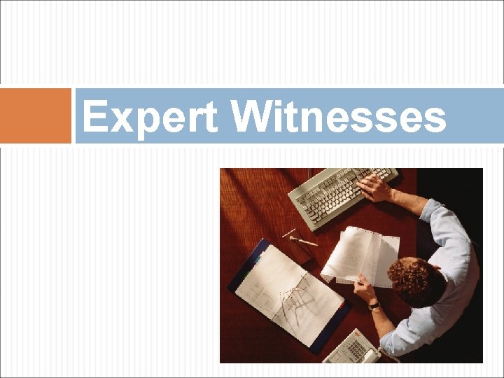Expert Witnesses 